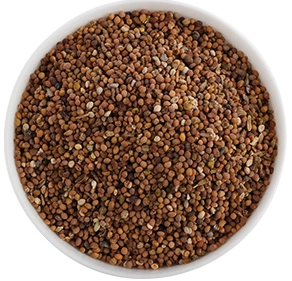 cascuta-seed